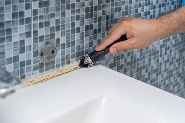 Best Local Mold Removal Service  in Gages Lake, IL